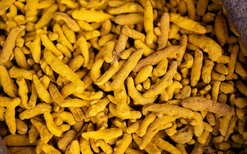 Fresh turmeric roots for a Haldi Chandan facial
